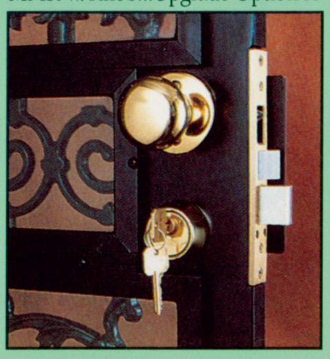 Secuirty Storm Door Locks